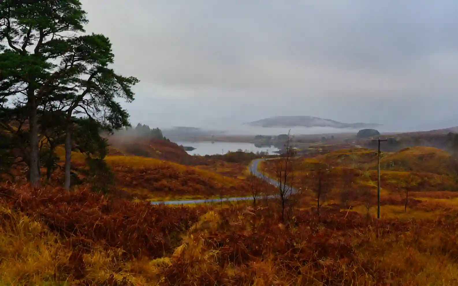 Galloway